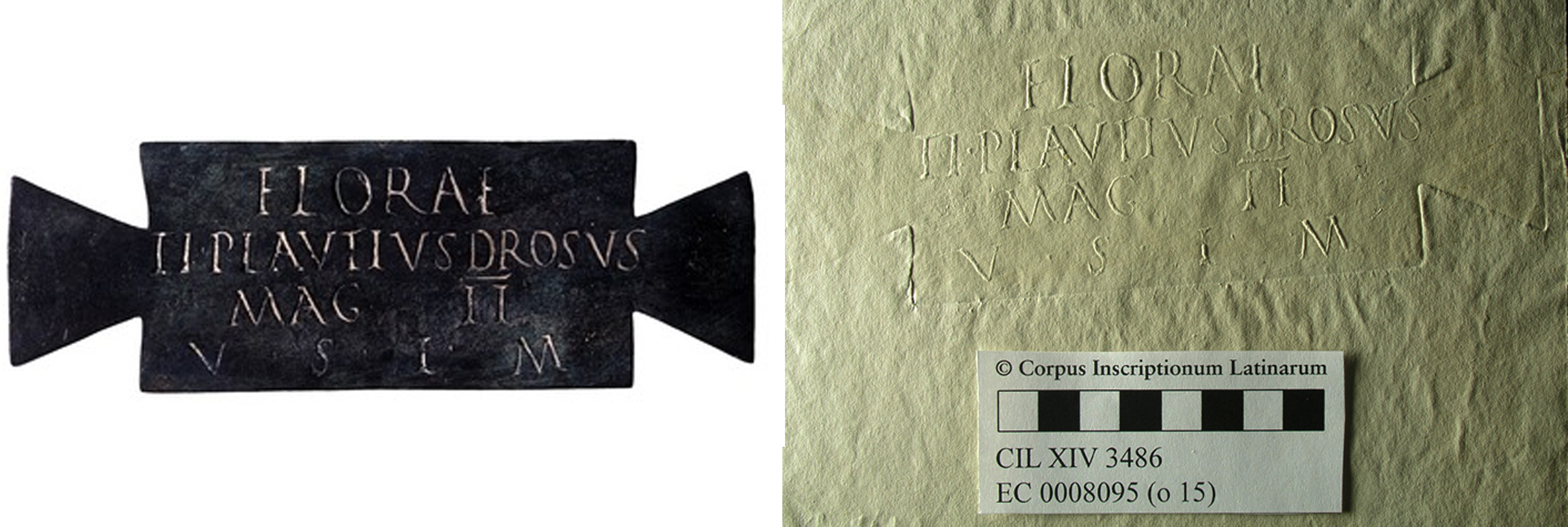The Terme version of the Flora plaque (inv. 65029), and a ‘squeeze’ (paper impression) of the Naples version (inv. 2570)